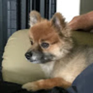 Meet your Posher, Christine